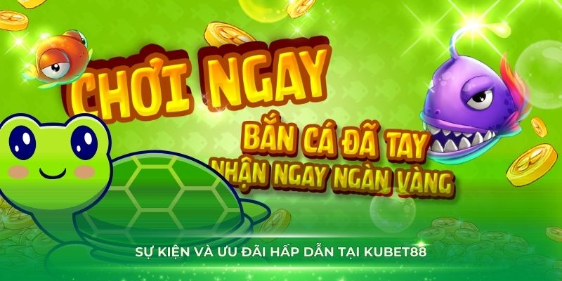 Lợi ích mang lại cho người chơi khi tham gia bắn cá rùa xanh